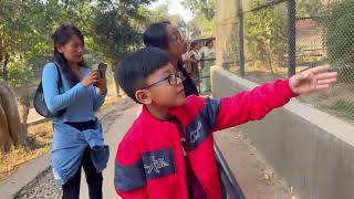 New Year’s adventure at Guwahati Zoo What we discovered will amaze you guwahati zoo 2024 [upl. by Lletnahs]