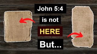 The PAPYRUS manuscripts DONT contain John 54 BUT [upl. by Regazzi]