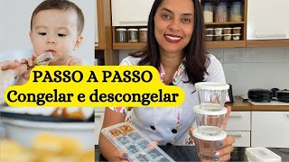 PASSO A PASSO como CONGELAR e DESCONGELAR COMIDA DO BEBÃŠ [upl. by Retha290]