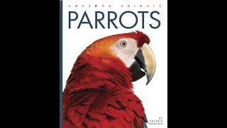 Parrots  Read Aloud with Pictures [upl. by Rhee]