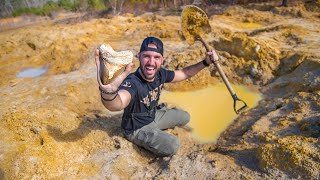 Digging DEEP For Fossilized Megalodon Shark Teeth prehistoric riverbed [upl. by Lienahs]