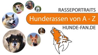 ► Alle Hunderassen von A  Z [upl. by Shum]