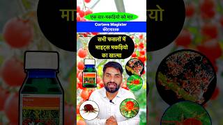 Corteva Magistar मकड़ी नाशक दवा  Miticide  Acaricide  Mites control insecticide shorts farming [upl. by Bolen]