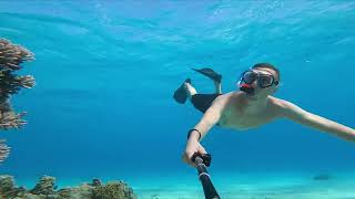 Egipt Marsa Alam snorkeling freediving [upl. by Anitel74]