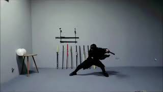 Challenge the first speed record of swordsmanship [upl. by Krystyna]