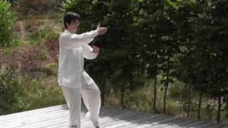 Tai Chi Chuan Taijiquan  traditioneller Yang Stil  103er Langform 1 Teil [upl. by Chafee]