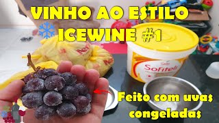 Fazendo Vinho Artesanal  Estilo ICEWINE Eiswein 1 [upl. by Faun]