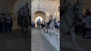 Bandido manades Vinuesa Aubanel du Levant et Lafon à Aigues Mortes [upl. by Aimerej]