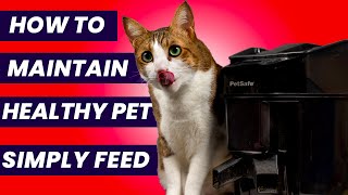 How to clean petsafe automatic feeder HEALTHY PET SIMPLY FEED [upl. by Zacharia]