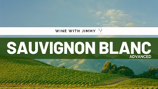 Advanced Guide to Sauvignon Blanc For WSET Level 3 and 4 [upl. by Nelehyram]