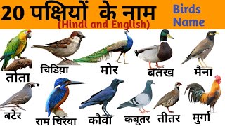 20 Birds Name in Hindi and English  पक्षियों के नाम  Birds Name  Hindi and English Vocabulary [upl. by Noned958]