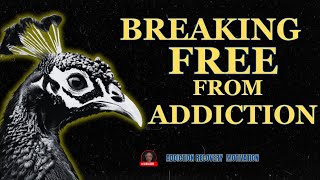 Addiction Recovery Motivation for Sobriety [upl. by Uzziel]