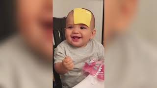 Try Not To Laugh  Babies vs Cheese  Tiktok Compilation  How to Make a Baby Stop Crying [upl. by Tallbot]