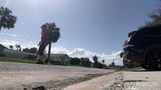 Driveway drill with Waylon nervous skittish dog learning to walk in heel [upl. by Reisinger]