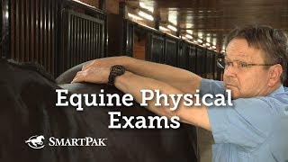 Equine Physical Exams [upl. by Aihsened]