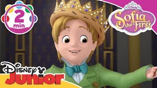 Sofia The First  King For A Day  Be Your Own King  Song  Disney Junior UK [upl. by Napas]