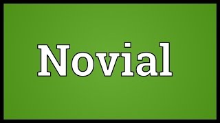 Novial Meaning [upl. by Nosahc518]