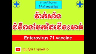 វ៉ាក់សាំងជំងឺពងបែកដៃជើងនិងមាត់ l Enterovirus 71 vaccine l​ ការបង្ការជំងឺ l វេជ្ជបណ្ឌិត ខ ហុកស៑ុន [upl. by Hcone776]