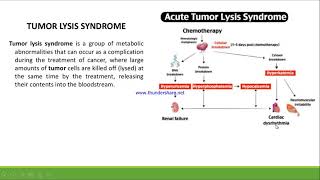 Oncological Emergencies [upl. by Ysiad]