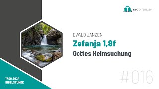 016 Zef 18f  Gottes Heimsuchung Bibelstunde Ewald Janzen [upl. by Hnoj]