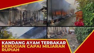 Kandang Ayam Terbakar Kerugian Capai Miliaran Rupiah [upl. by Muhcon427]