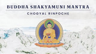 Buddha Shakyamuni — Mantra by Chogyal Rinpoche [upl. by Ellemrac]