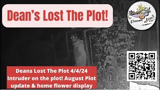 Deans Lost The Plot 4424 Intruder on the plot August Plot update amp home flower display [upl. by Assertal]