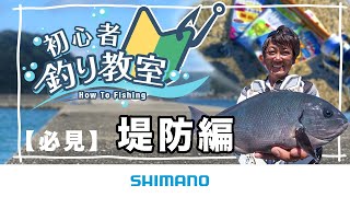 【魚釣りをわかりやすく解説】シマノ初心者釣り教室 ～堤防編～【堤防や防波堤で楽しく魚釣り】 [upl. by Naeerb]