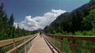 Füssen Allgäu  Der Baumkronenweg [upl. by Hedveh]