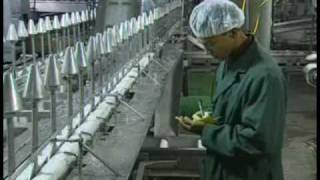 US Poultry Quality Control and Food Safety [upl. by Anelet470]