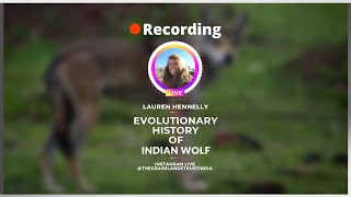 IG Live with researcher Lauren Hennelly  Evolutionary History of Indian Wolf [upl. by Egwin]