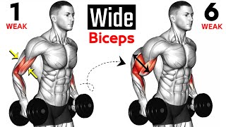 7 BEST Exercises for WIDER BICEPS [upl. by Negiam350]