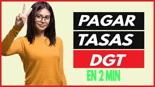 pagar tasas dgt por internet en segundos modelo 791 [upl. by Huan]