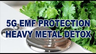 5G EMF Protection Heavy Metal Detox [upl. by Allets601]