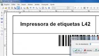 Impressora ELGIN L42  como criar uma etiqueta com software BLabel [upl. by Niatsirhc]