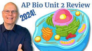 Get Ready for the AP Biology Exam with this Unit 2 Review Cell Structure and Function [upl. by Marden]