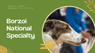 2022 Borzoi National Specialty Winners Dog [upl. by Tommie321]