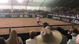 2017 Bull Fighters Only World Finals [upl. by Lachish782]