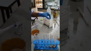 Serial dilution of microbes  shorts shortsvideo laboratorylife viralvideo shortsfeed [upl. by Dyrrej543]