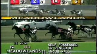 1999 Hambletonian  Self Possessed amp Mike Lachance [upl. by Rennoc]