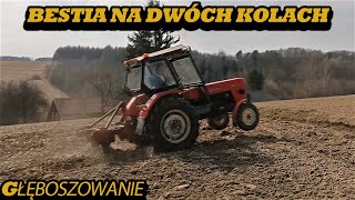 GŁĘBOSZOWANIE NA DWÓCH KOŁACH URSUS C360 VS GŁĘBOSZ PO RAMĘ [upl. by Tobias]