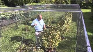 Why choose an Aluminium Fruit Cage from Harrod Horticultural [upl. by Twila]