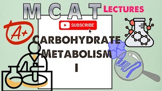 Biochemistry MCAT Chapter 8 Carbohydrate Metabolism I 12 [upl. by Michell]