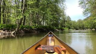 Canoe Trip in the Minesing Wetlands [upl. by Proudfoot]