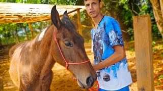 INVADI O PIQUETI DO CAVALO MISTERIOSO  O dono quis roubar o meu lugar [upl. by Pettiford]