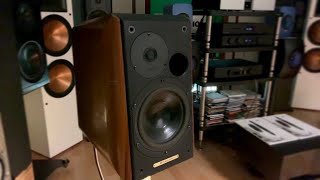 VINTAGE Sonus faber CONCERTO Speakers Delicious [upl. by Maccarthy]