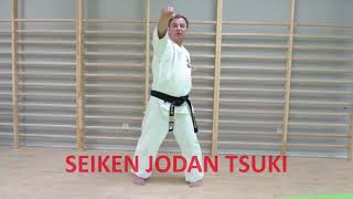 Podstawy karate  Shihan Mirek  podstawowe uderzenia [upl. by Beare]