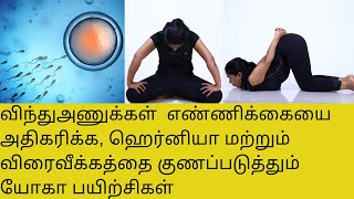 Yoga To Cure Hernia  Hydrocele amp To Improve Sperm Counts In Tamil By DrLakshmi Andiappan [upl. by Glanville]