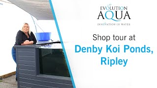 Shop tour at Denby Koi Ponds [upl. by Alida]