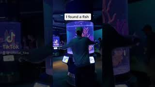 Tiko hugs fish in real life [upl. by Laekim]